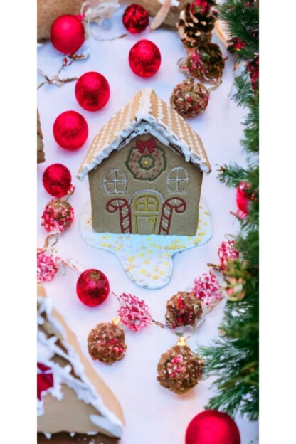 Yılbaşı Yeni Yıl Noel Kurabiye Evi Gingerbread House Kolay Yapım Kurabiye Kalıbı Seti Ve Glazür 100g - Görsel 5