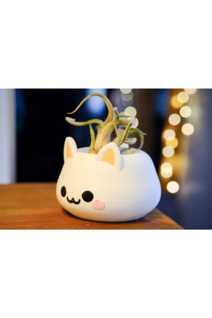 Kawai Sevimli Kedi Saksı - Görsel 5